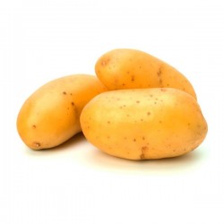Pommes de terre Nelles Spunta Italie Bio (au kg)