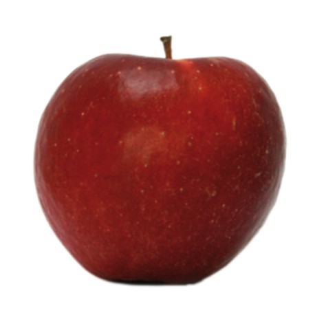 Pommes Dalinette  Bio au Kg