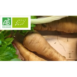 Panais BIO