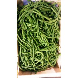 Haricots verts 