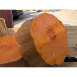 Courge violon Bio (kg)