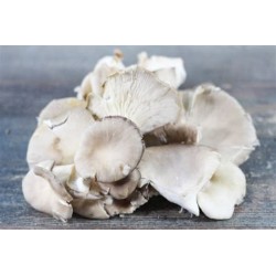 Champignons Pleurotes Gris Bio au 100G.  Les frères HENSENS