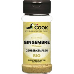 Gingembre poudre 30g COOK