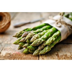 Asperges Vertes botte 500g Italie