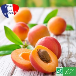Abricots Bio France au 500g