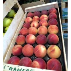 Pêches blanches (au 500G)   Echange Paysans- EARL Jacob