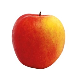 Pommes Crimson Hautes Alpes BIO (au kg)