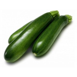 Courgettes vertes bio de Grasse(au kg)