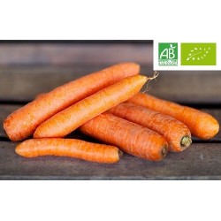 Carottes lavées Bio de France