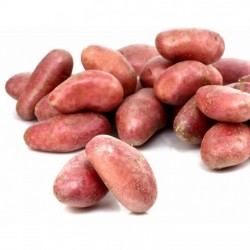 Pommes de terre conso roses Bio France