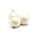 Oignons blancs frais Auribeau AR (au 500g)