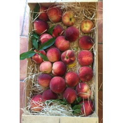 Pêches non traitées de Manuel Orso
