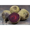 Betteraves crues Alpes de Ht Provence BIO (au 500g)