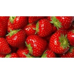 Fraises Garigette Agric Raisonnée ( Barquette de 300g)