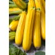 Courgette 