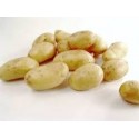Pommes de terre nouvelles BIO  France  (au kg)