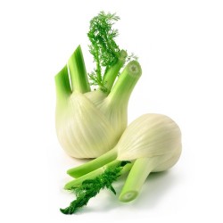 Fenouil Bio au Kg