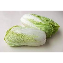 Chou chinois BIO  France (prix au kilo-vendu à la pièce)