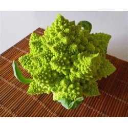 Chou Romanesco Bio Italie ( vendu à la pièce)