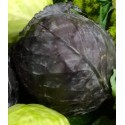 Chou rouge BIO de chez Noble (au kg)