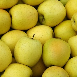 Golden  Agriculture Raisonée