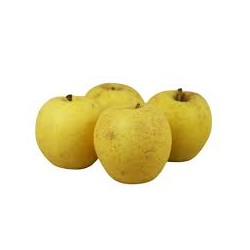 Pommes Goldrush Bio du Piemont