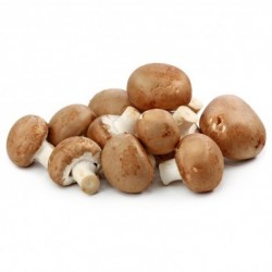 Champignons de Paris  BIO au Kg