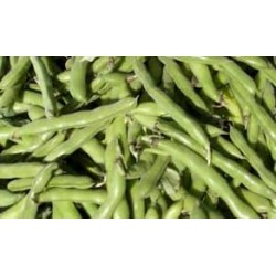 Févettes bio Grasse (aux 100g)