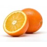 Oranges Bio de Grece (au kg)