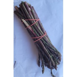 Asperges violettes petites de Grasse (par botte 500 g environ)