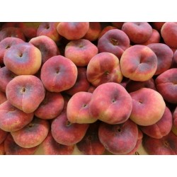 Pêches plates (au 500G)  E P- EARL GOLD'API - Espinasses (05)