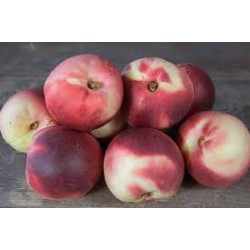 Nectarines  blanches non traitées  Mandelieu (cagette de 2kg environ)