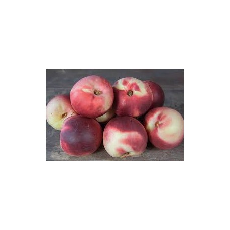 Nectarines blanches Non traitées (au kg)