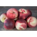 Nectarines blanches Non traitées (au kg)