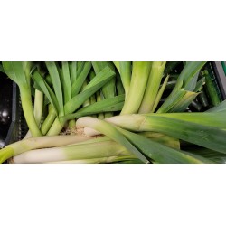 Poireaux Chateauneuf BIO (au 500g)