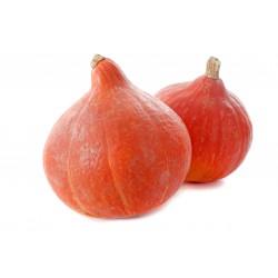 Potimarron  BIO  CHateauneuf (à la pièce prix au kg)