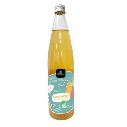 Kombucha gingembre citron Bio - bouteille verre 75cl