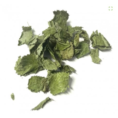 Mélisse 20g