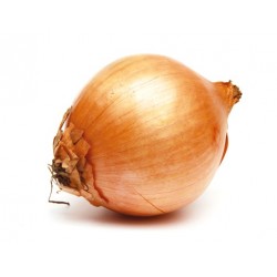 Oignons jaunes  BIO  France (au 500g)