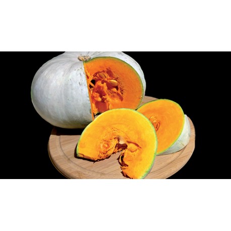 Courge bleue de Hongrie