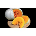 Courge bleue de Hongrie (au kg)