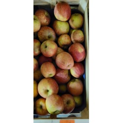 Pomme Fuji BIO au Kg