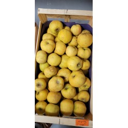 Pommes Chantecler BIO au Kg