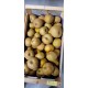 Pomme Reinette BIO au Kg