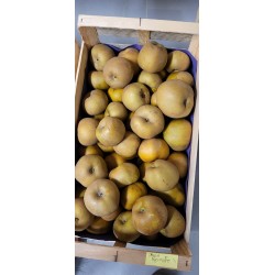 Pomme Reinette BIO au Kg