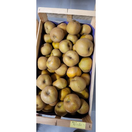 Pomme Reinette BIO au Kg
