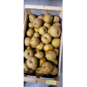 Pommes Reinette grise BIO au Kg