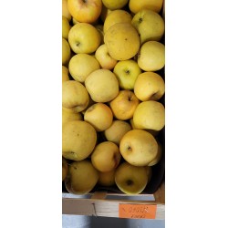 Pommes Inogo Bio (Kg)