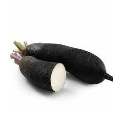 Radis noir BIO (au 100 g)