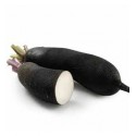 Radis noir BIO (au 100 g)